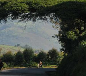 Obras internacionales (05-11/10/2020)