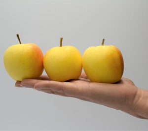 Nace un consorcio para desarrollar el mercado de la manzana como snack