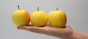 Nace un consorcio para desarrollar el mercado de la manzana como snack