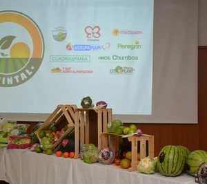 Nace Agrintal, la asociación que defiende los intereses de empresas hortofrutícolas de Almería