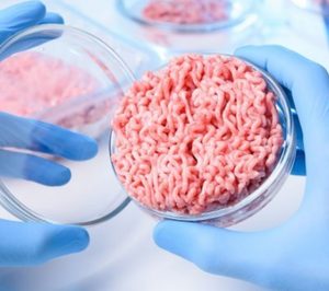 El programa de carne de cultivo 'Meat4All' de Biotech Foods recibe 1,9 M de  la Unión Europea - Noticias de Alimentación en Alimarket, información  económica sectorial