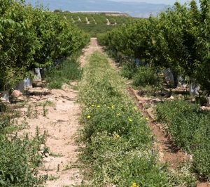 La mejora de la biodiversidad impulsa la rentabilidad en El Ciruelo