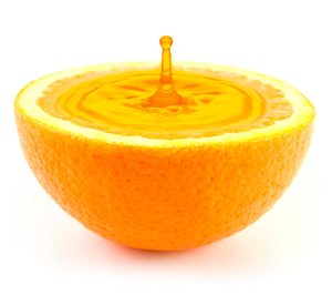 Nufri y el resto de socios deciden paralizar la actividad de Zufrisa