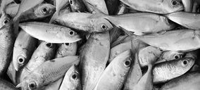 Oni Foods prevé estabilidad este año, tras crecer un 33% en 2019