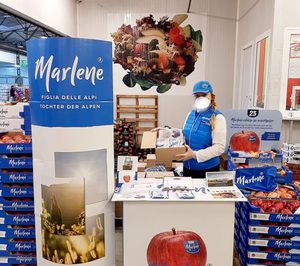 VOG avanza en la temporada con expectativas positivas y diferentes acciones