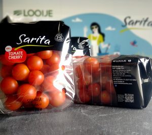 Looije lanza un packaging sostenible para su tomate cherry ‘Sarita’