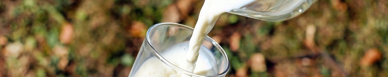 Informe 2020 sobre el sector de leche de consumo