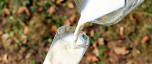Informe 2020 sobre el sector de leche de consumo