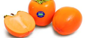 Innovación y digitalización, estrategias claves en Anecoop