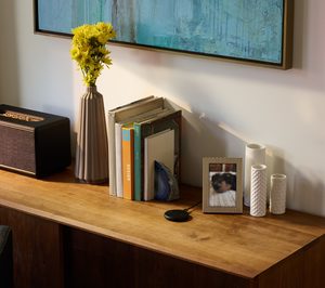 El consumidor se decanta por los altavoces inteligentes con pantalla