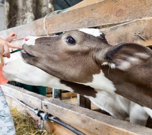Tendencia Mintel sobre el Sector Cárnico