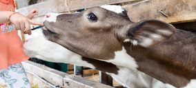 Tendencia Mintel sobre el Sector Cárnico