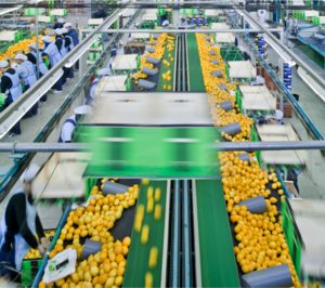 GPF Capital adquiere Frugarva para liderar la producción de limón europea
