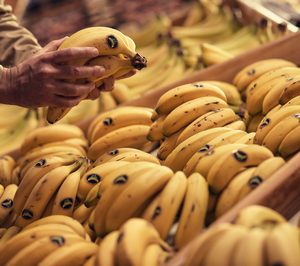 Plátano de Canarias se alía con Glovo para acercar la frutería de barrio al consumidor