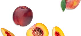 SAT Síntesis refuerza su posicionamiento prémium