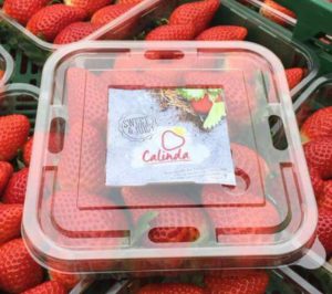 Special Fruit incrementa hasta las 5.500 t la producción de Calinda