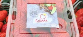Special Fruit incrementa hasta las 5.500 t la producción de Calinda
