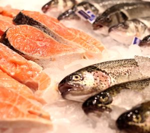 El sector pesquero, preocupado por las consecuencias del Brexit a medio y largo plazo