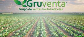 Gruventa acaba en liquidación