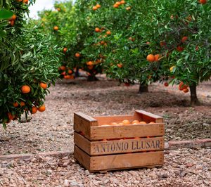 MCH Private Equity y SanLucar Fruit entran en el accionariado de Antonio Llusar y Cía