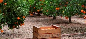 MCH Private Equity y SanLucar Fruit entran en el accionariado de Antonio Llusar y Cía
