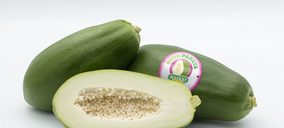 Anecoop incluye a su oferta la papaya verde, una fruta que se consume como hortaliza