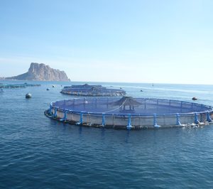 Grupo Andrómeda inicia nueva etapa como Avramar y líder europeo en acuicultura