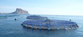 Grupo Andrómeda inicia nueva etapa como Avramar y líder europeo en acuicultura