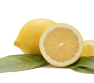 Ailimpo confirma un aumento cercano al 15% en la producción nacional de limón
