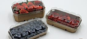 SP Soluciones Agrícolas e Indesla lanzan un envase sostenible para frutos rojos