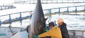 Grupo Ricardo Fuentes se focaliza en el atún rojo tras la venta de parte de sus activos acuícolas
