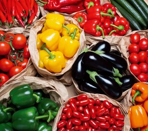 Eurosol abre una tienda online para la venta directa de verduras