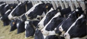 El sector lácteo de Menorca se agrupa en Menorlac para optar a 11,5 M del fondo Next Generation EU