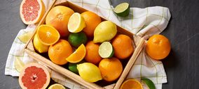 Lidl compró más de 420.000 t de cítricos en 2020, de las que exportó el 90%