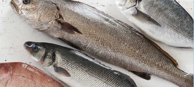 Avramar crece en España mediante adquisiciones y ampliaciones