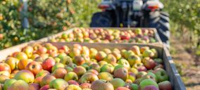 El sector hortofrutícola participa en un proyecto para validar TICS de monitorización y nuevos modelos logísticos