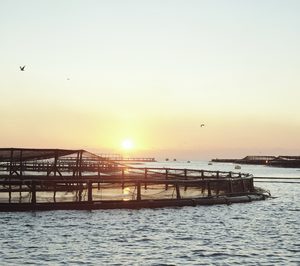 España se mantiene como el principal productor acuícola de la UE en volumen