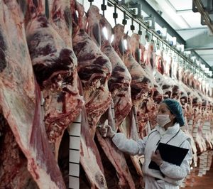 Miguel Vergara logra impulsos a pesar de la caída de horeca