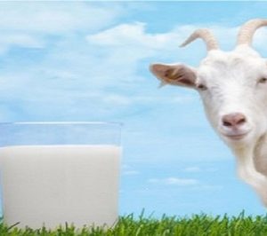 El sector de la leche de cabra atraviesa un mal momento