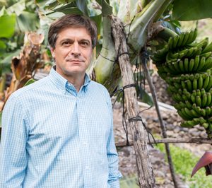 Domingo Martín (Asprocan): El sector del plátano en Canarias todavía atrae inversores, aunque de manera muy limitada