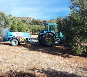 El proyecto Oilox busca un aceite de oliva más rico en polifenol