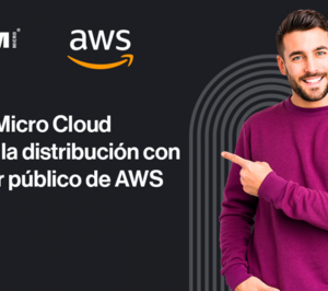 Ingram Micro distribuye los servicios AWS al sector público