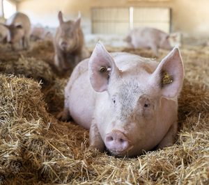 Vall Companys avanza en su plan de sostenibilidad con el proyecto Welfare +