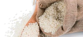 El arroz redondo revive crecimientos por la pandemia
