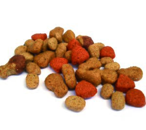 El Covid-19 acelera las tendencias de los productos para mascotas