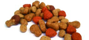 El Covid-19 acelera las tendencias de los productos para mascotas