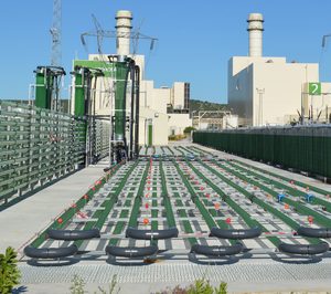 AlgaEnergy se convierte en la primera biotecnológica en obtener el sello B Corp