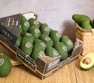 Reyes Guitérrez lanza dos marcas de aguacate para diversificar su oferta