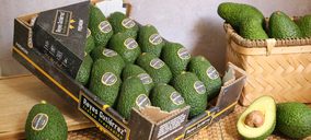 Reyes Guitérrez lanza dos marcas de aguacate para diversificar su oferta