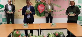 Anecoop redobla su apuesta prémium con un nuevo melón piel de sapo